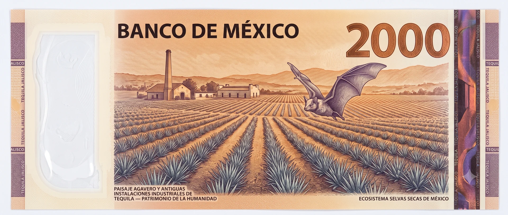 Diseño conceptual del reverso del billete de 2,000 pesos mexicano mostrando el Paisaje Agavero de Tequila (Patrimonio UNESCO) y murciélago magueyero. Diseño hipotético basado en el plano oficial de Banxico Familia G.