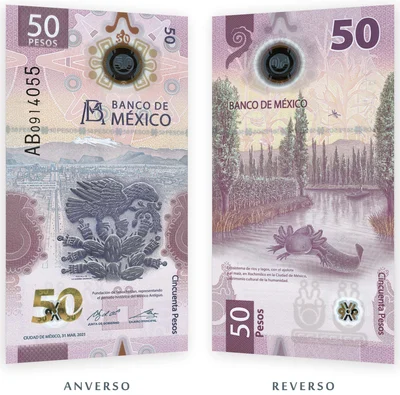 ¿Cuánto Vale el Billete del Ajolote (50 Pesos) en 2026?