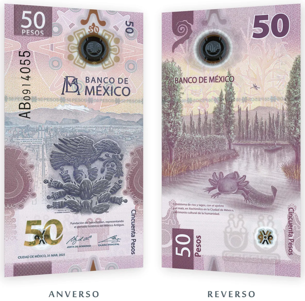 ¿Cuánto Vale el Billete del Ajolote (50 Pesos) en 2026?