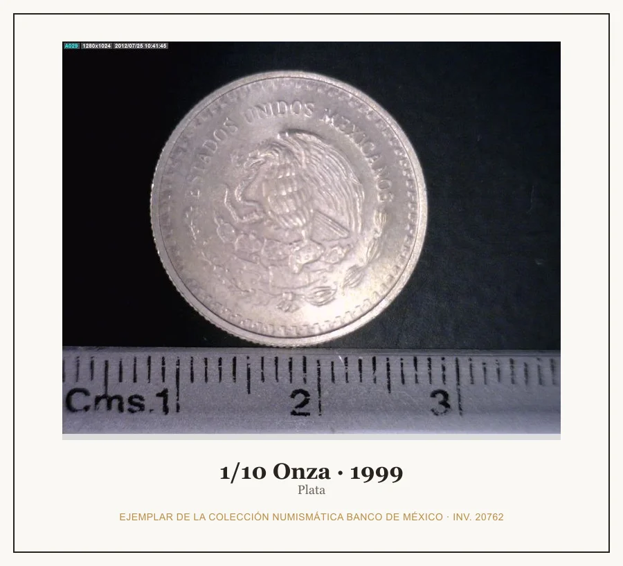 Moneda destacada de la serie 1/10 Onza Plata