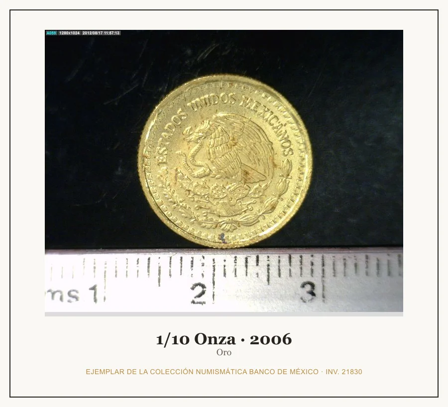 1/10 Onza · 2006 — Ejemplar de la Colección Numismática Banco de México, inv. 21830
