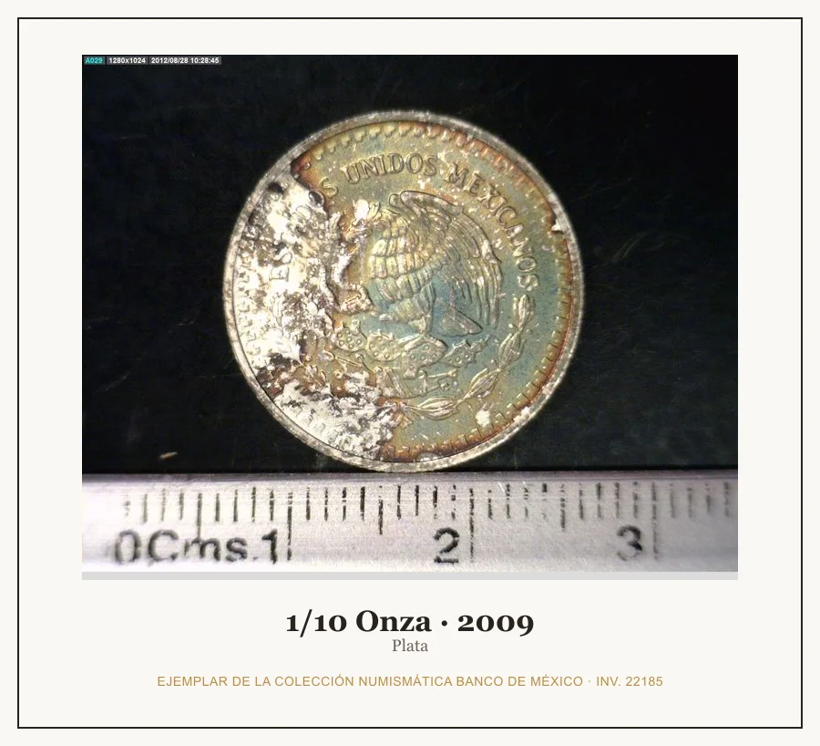 1/10 Onza · 2009 — Ejemplar de la Colección Numismática Banco de México, inv. 22185