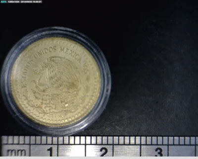 1/10 oz Libertad Oro 1991 · Inventario Banxico 17514 (anverso)