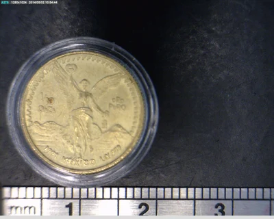 1/10 Onza Libertad Oro 1991