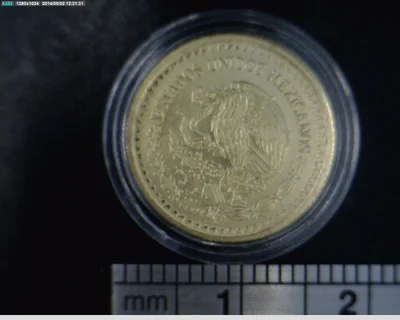 1/10 oz Libertad Oro 1993 · Inventario Banxico 17564 (anverso)