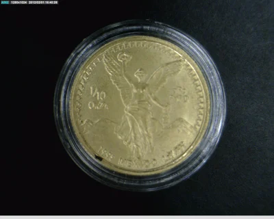 1/10 oz Libertad Oro 1993 · Inventario Banxico 17569 (reverso)