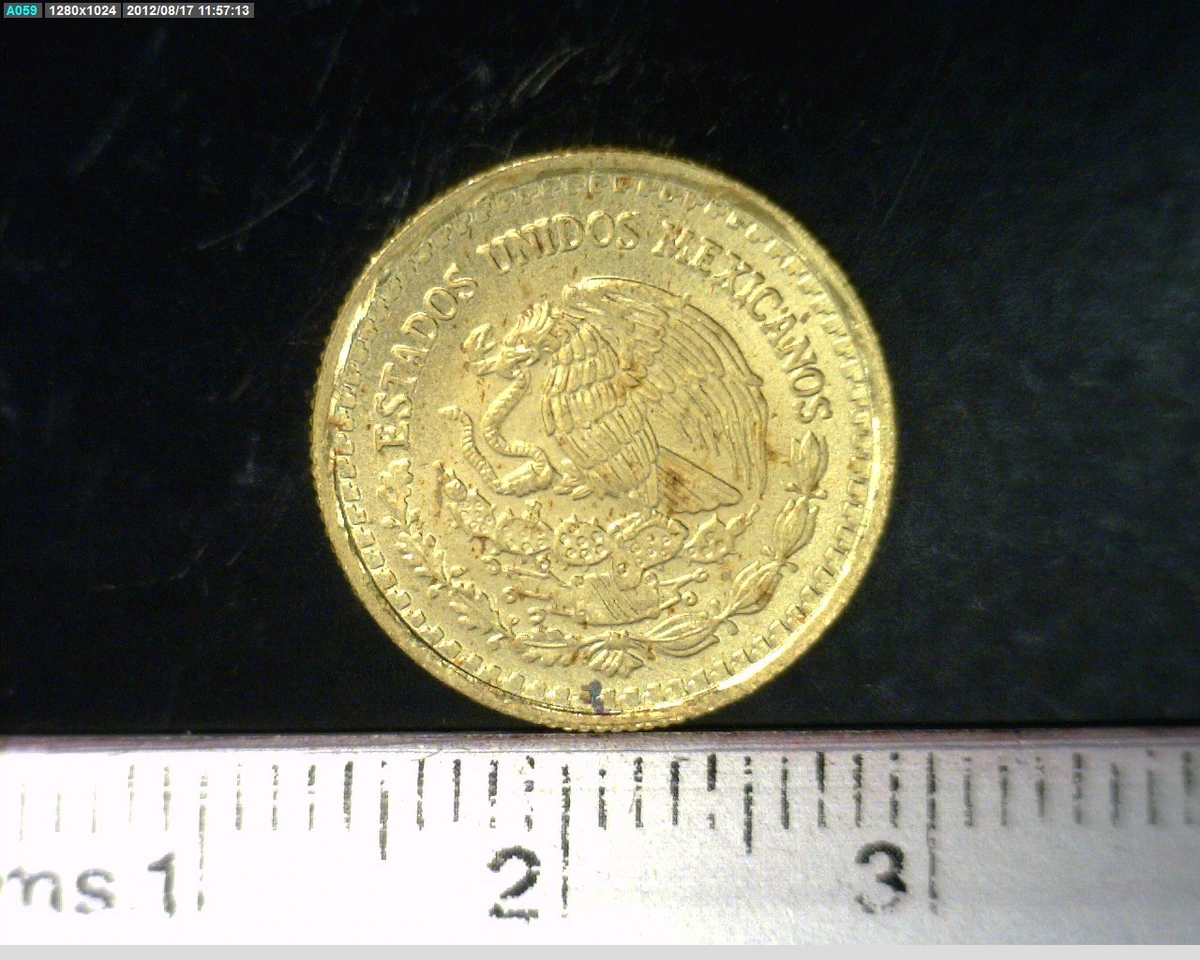 1-10-onza-libertad-oro-2006 - anverso (Banxico)