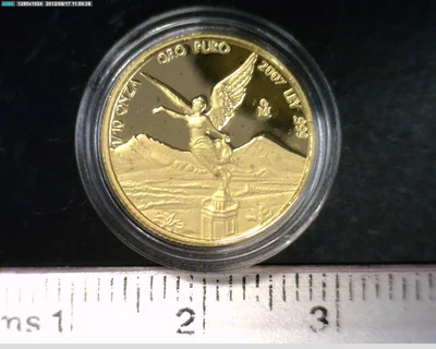 1/10 Onza Libertad Oro 2007 Proof