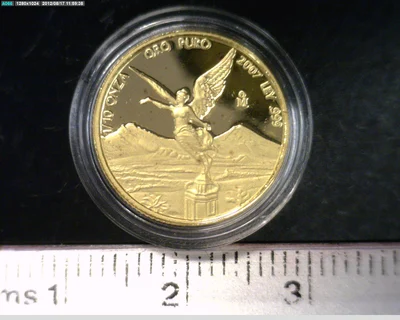 1/10 Onza Libertad Oro 2007