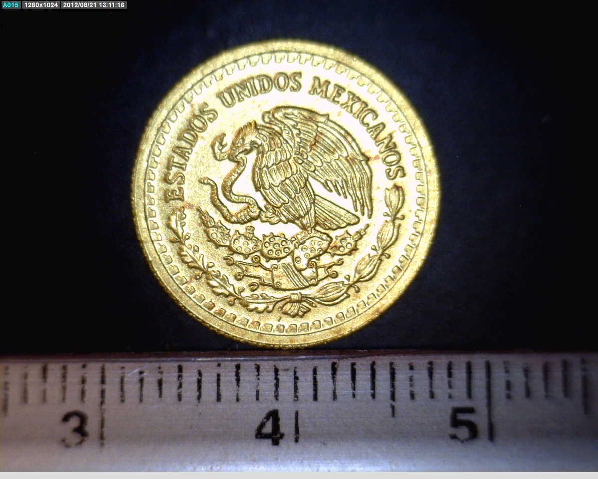 1-10-onza-libertad-oro-2008 - anverso (Banxico)