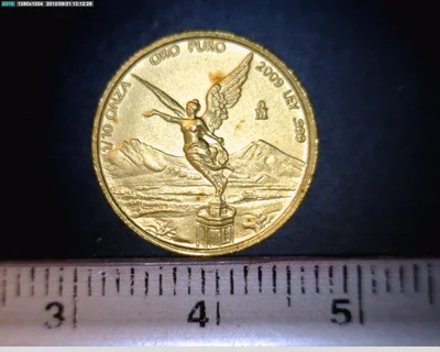 1/10 Onza Libertad Oro 2009