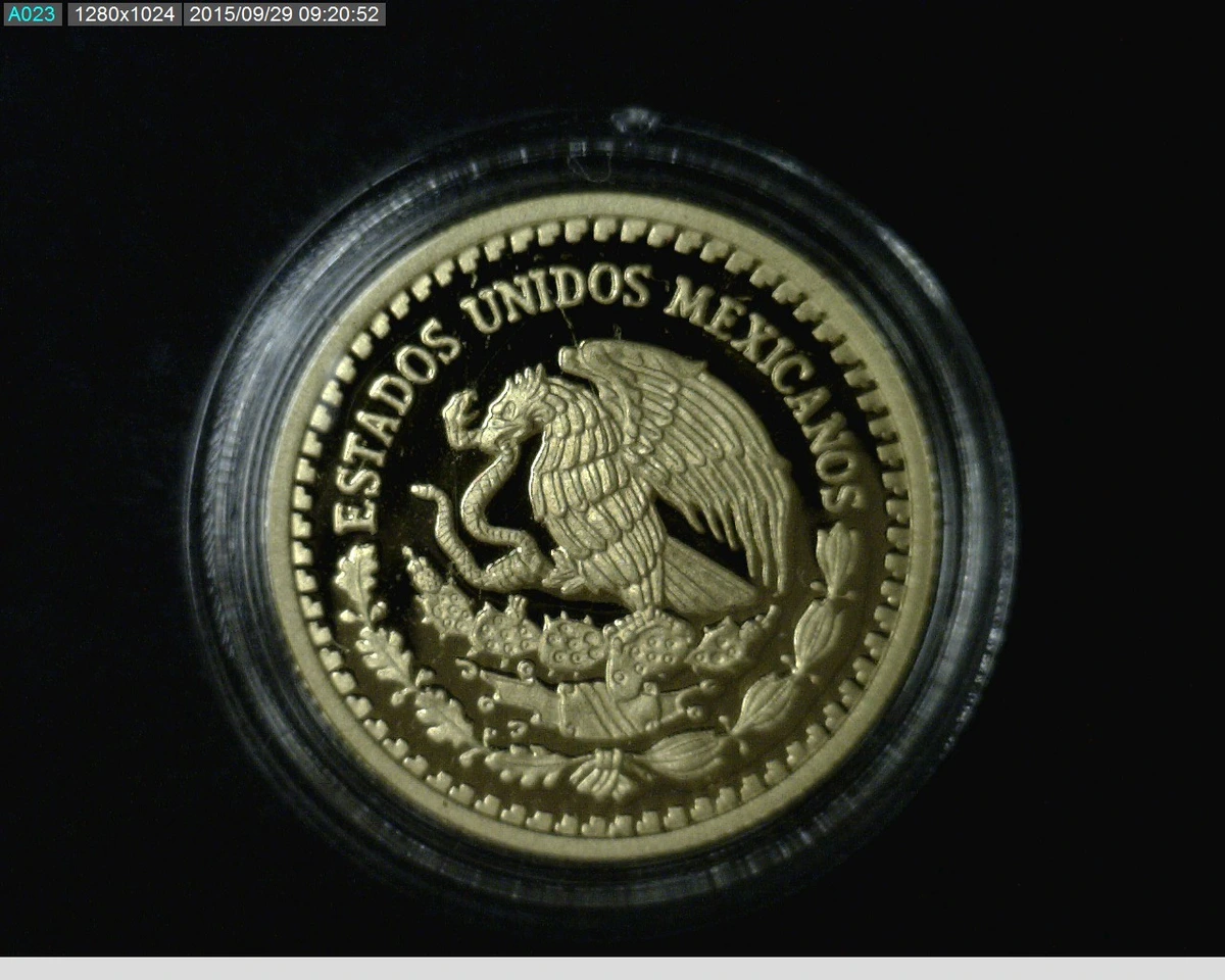 1-10-onza-libertad-oro-2013-proof - anverso (Banxico)
