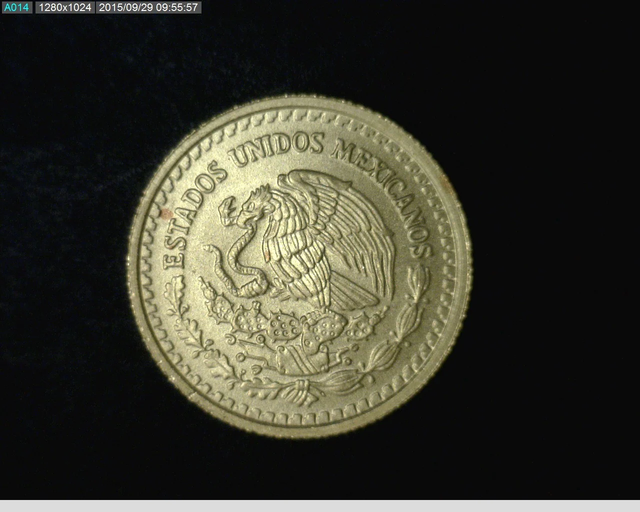 1/10 oz Libertad Oro 2013 · Inventario Banxico 23297 (anverso)
