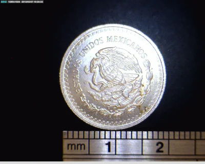 1/10 oz Libertad Plata 1991 · Inventario Banxico 17674 (anverso)
