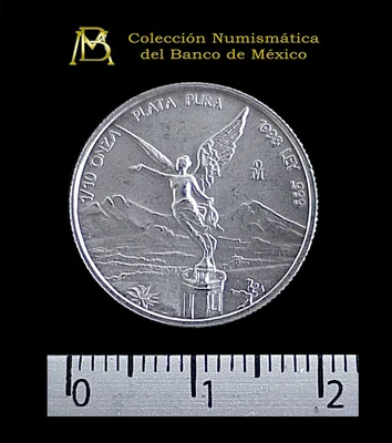 1/10 oz Libertad Plata 1998 · Inventario Banxico 20915 (reverso)