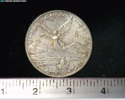1/10 Onza Libertad Plata 2006 · Reverso