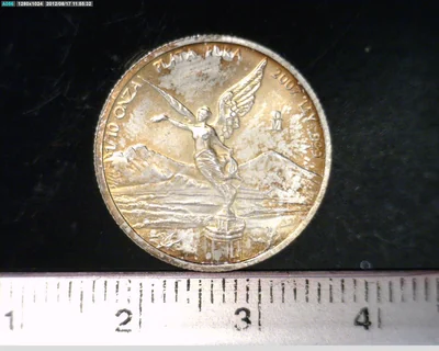 1/10 Onza Libertad Plata 2007 · Reverso