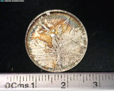 1/10 Onza Libertad Plata 2009 · Reverso