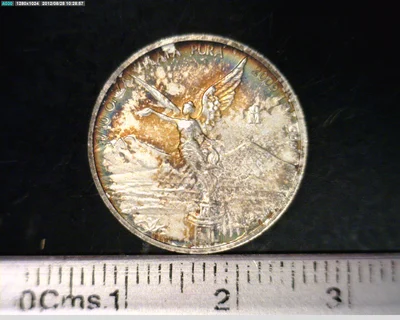 1/10 Onza Libertad Plata 2009