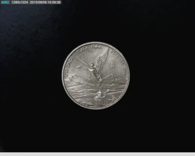 1/10 onza Libertad Plata 2013