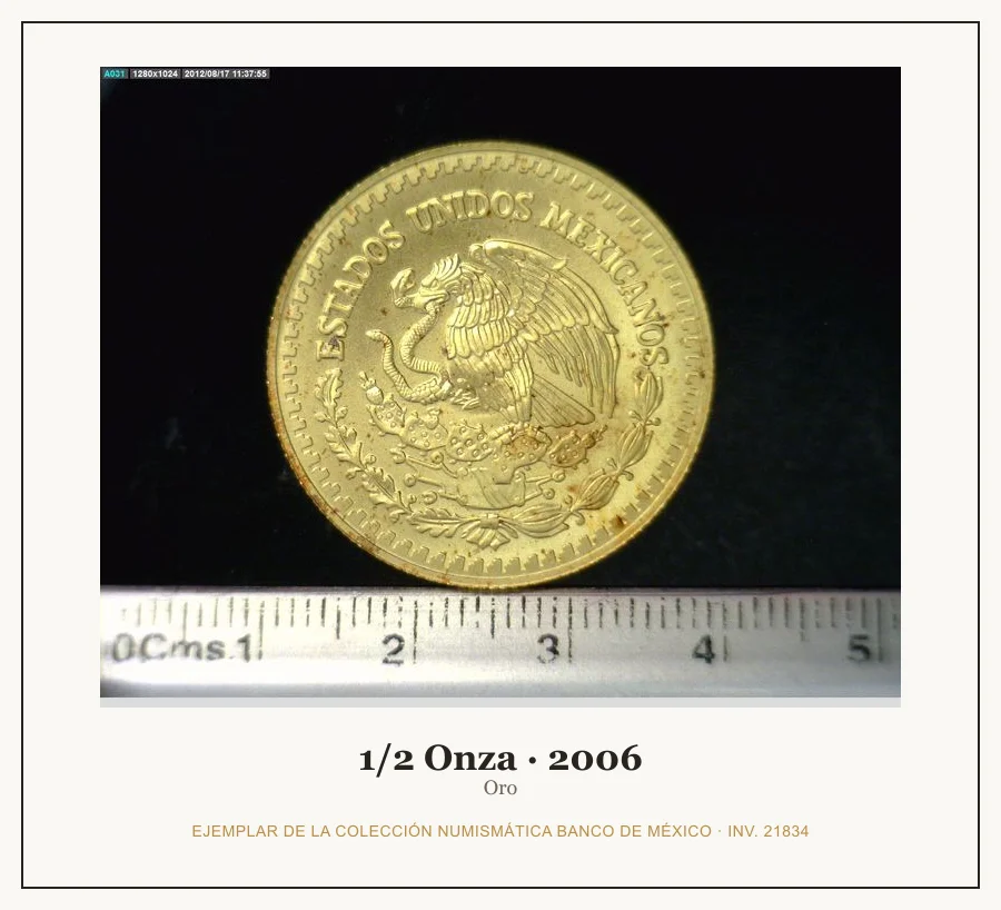 1/2 Onza · 2006 — Ejemplar de la Colección Numismática Banco de México, inv. 21834