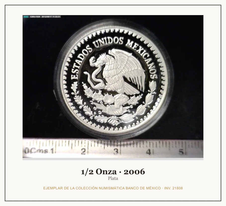 1/2 Onza · 2006 — Ejemplar de la Colección Numismática Banco de México, inv. 21808
