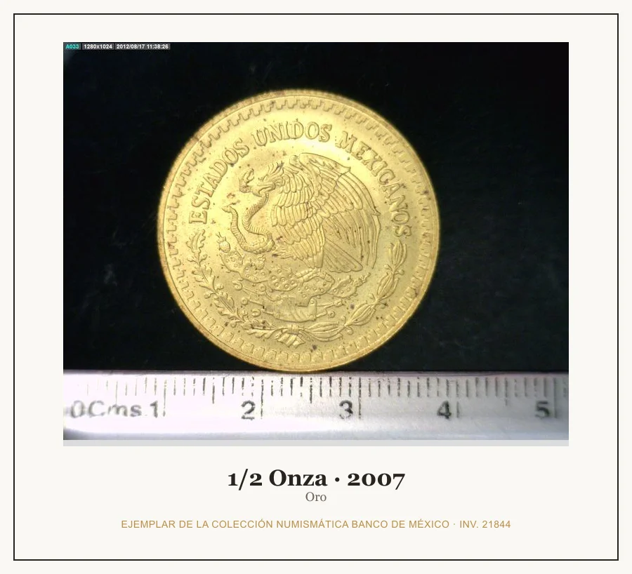 1/2 Onza · 2007 — Ejemplar de la Colección Numismática Banco de México, inv. 21844