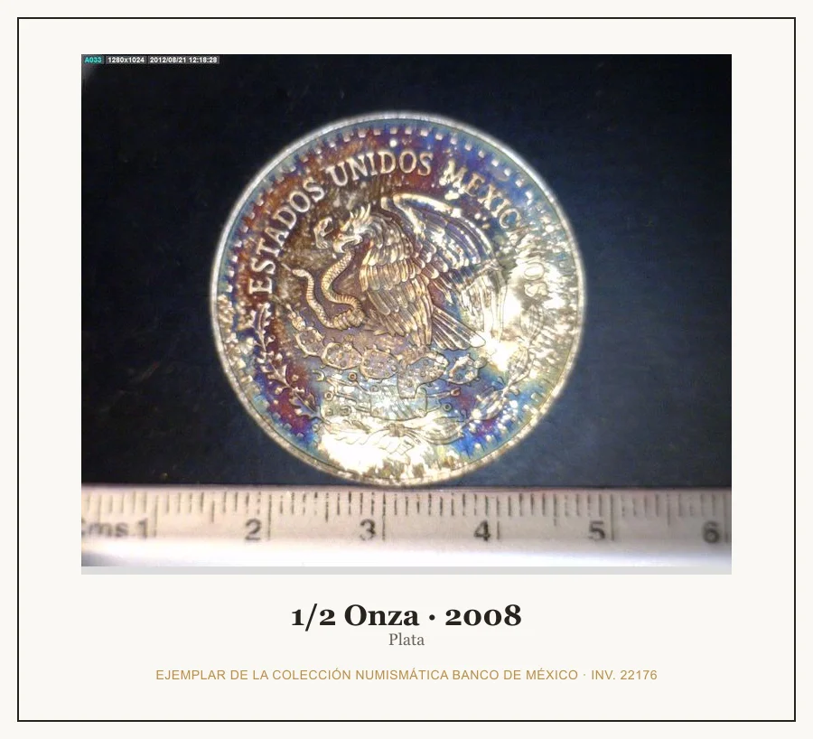 1/2 Onza · 2008 — Ejemplar de la Colección Numismática Banco de México, inv. 22176