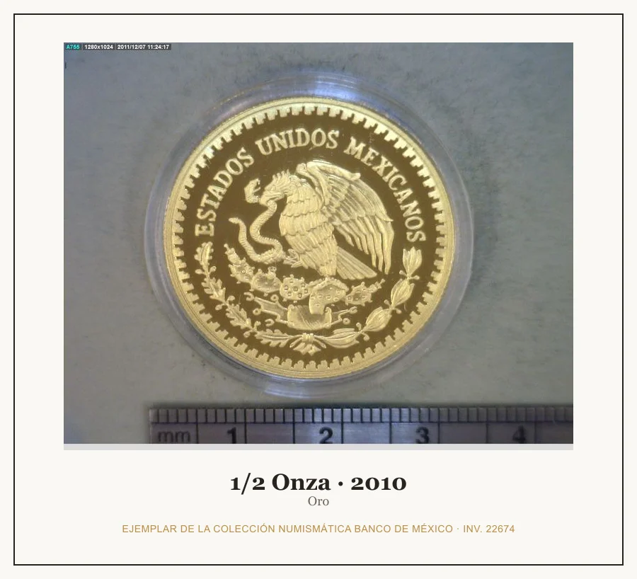 1/2 Onza · 2010 — Ejemplar de la Colección Numismática Banco de México, inv. 22674
