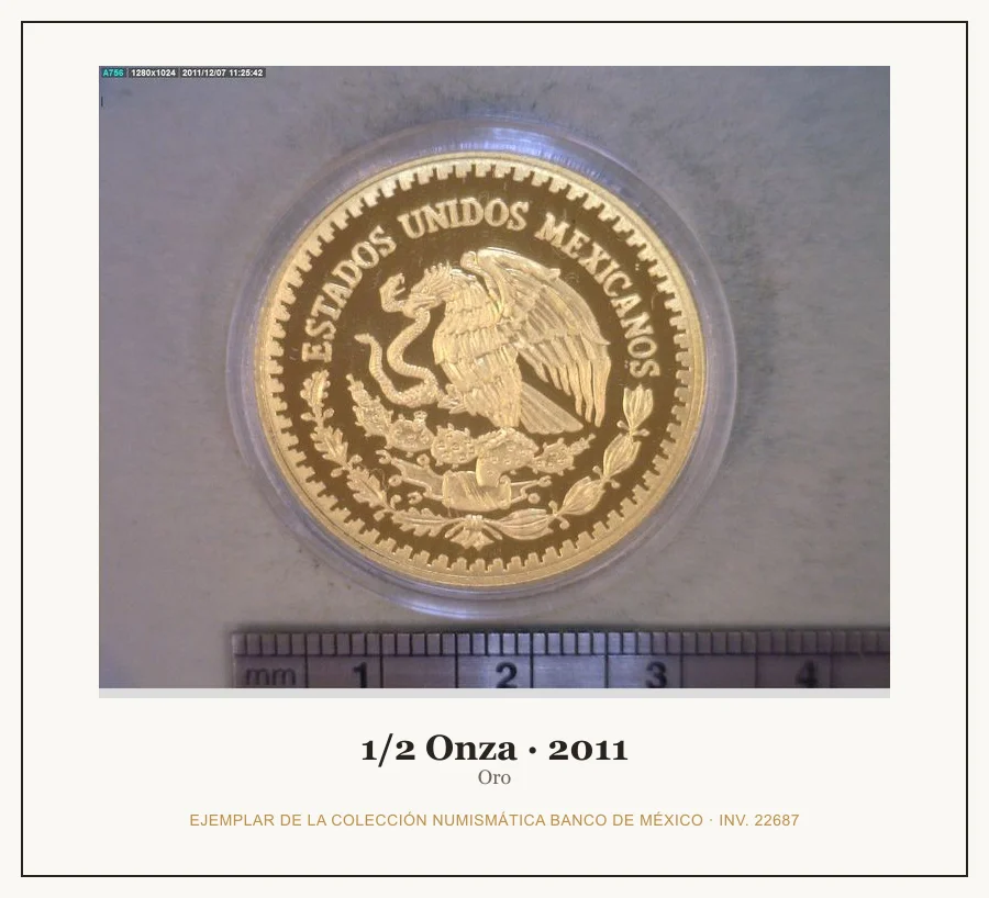 1/2 Onza · 2011 — Ejemplar de la Colección Numismática Banco de México, inv. 22687
