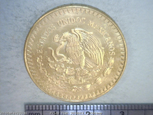 1/2 oz Libertad Oro 1981 · Inventario Banxico 15868 (anverso)