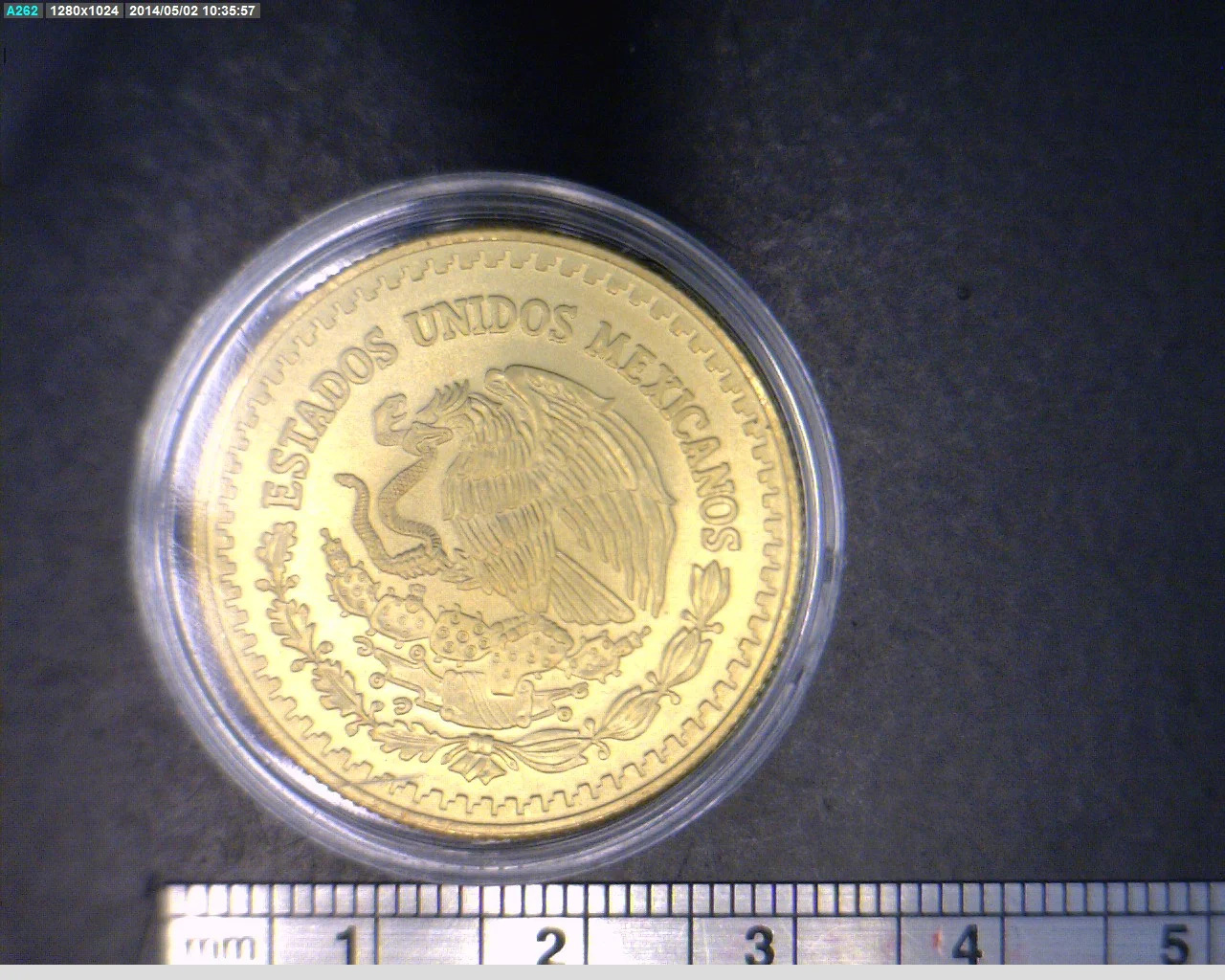 1/2 oz Libertad Oro 1991 · Inventario Banxico 17512 (anverso)