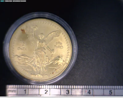 1/2 oz Libertad Oro 1991 · Inventario Banxico 17517 (reverso)