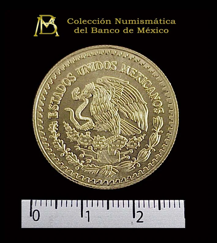 1/2 Onza Libertad Oro 2002 · Anverso