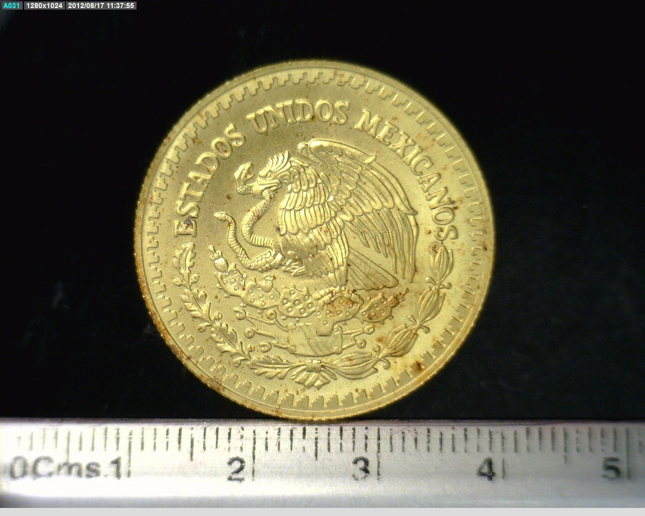 1/2 Onza Libertad Oro 2006 · Anverso