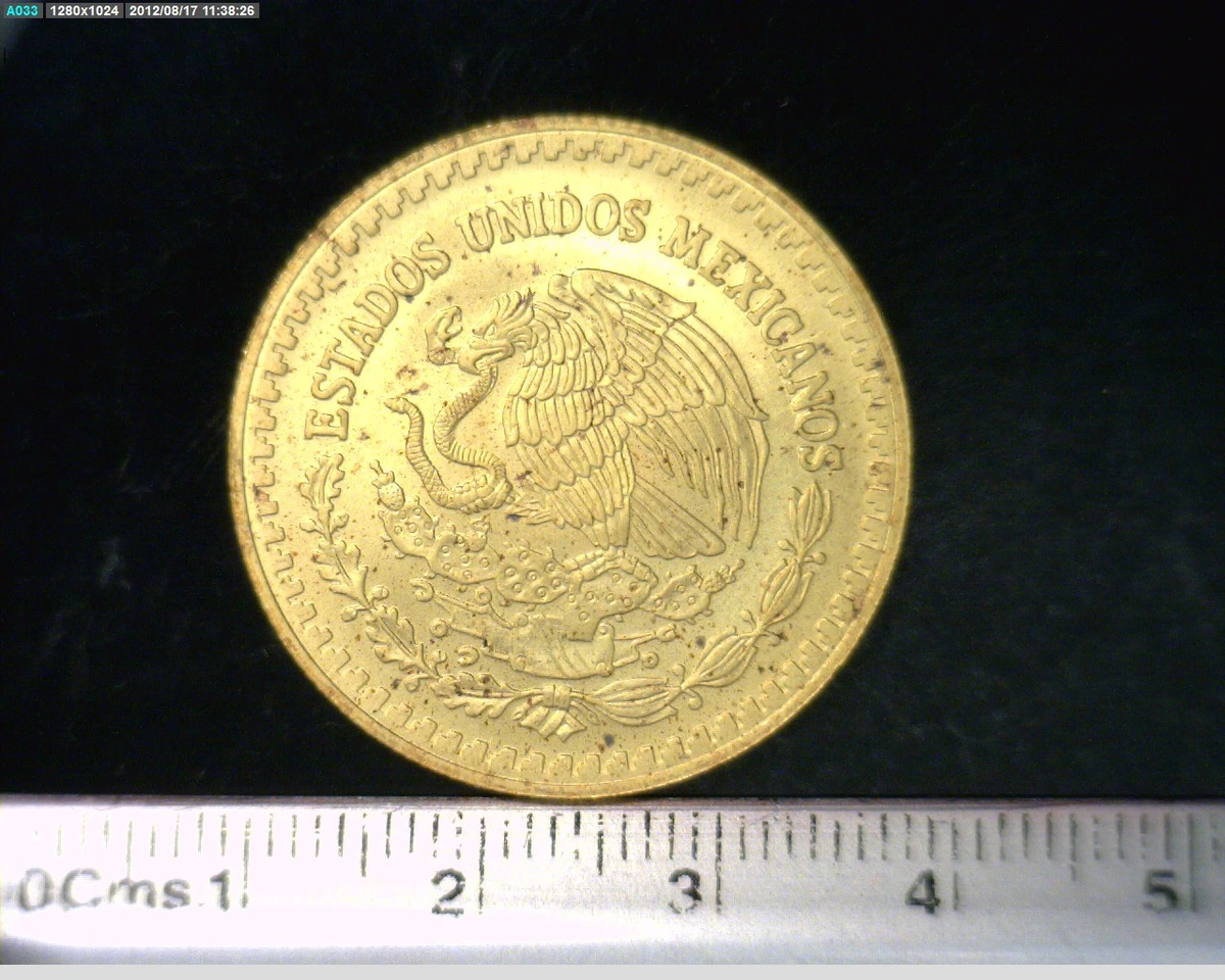 1-2-onza-libertad-oro-2007 - anverso (Banxico)