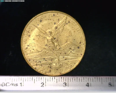 1/2 Onza Libertad Oro 2007 · Reverso