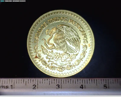 1-2-onza-libertad-oro-2008 - anverso (Banxico)