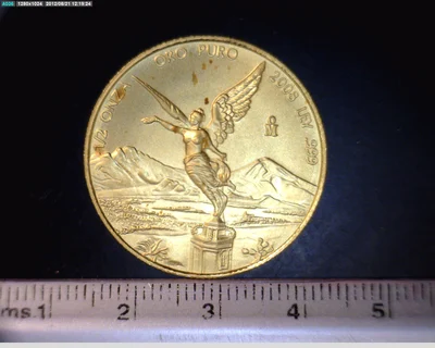 1/2 Onza Libertad Oro 2008