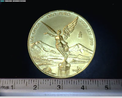 1/2 Onza Libertad Oro 2009