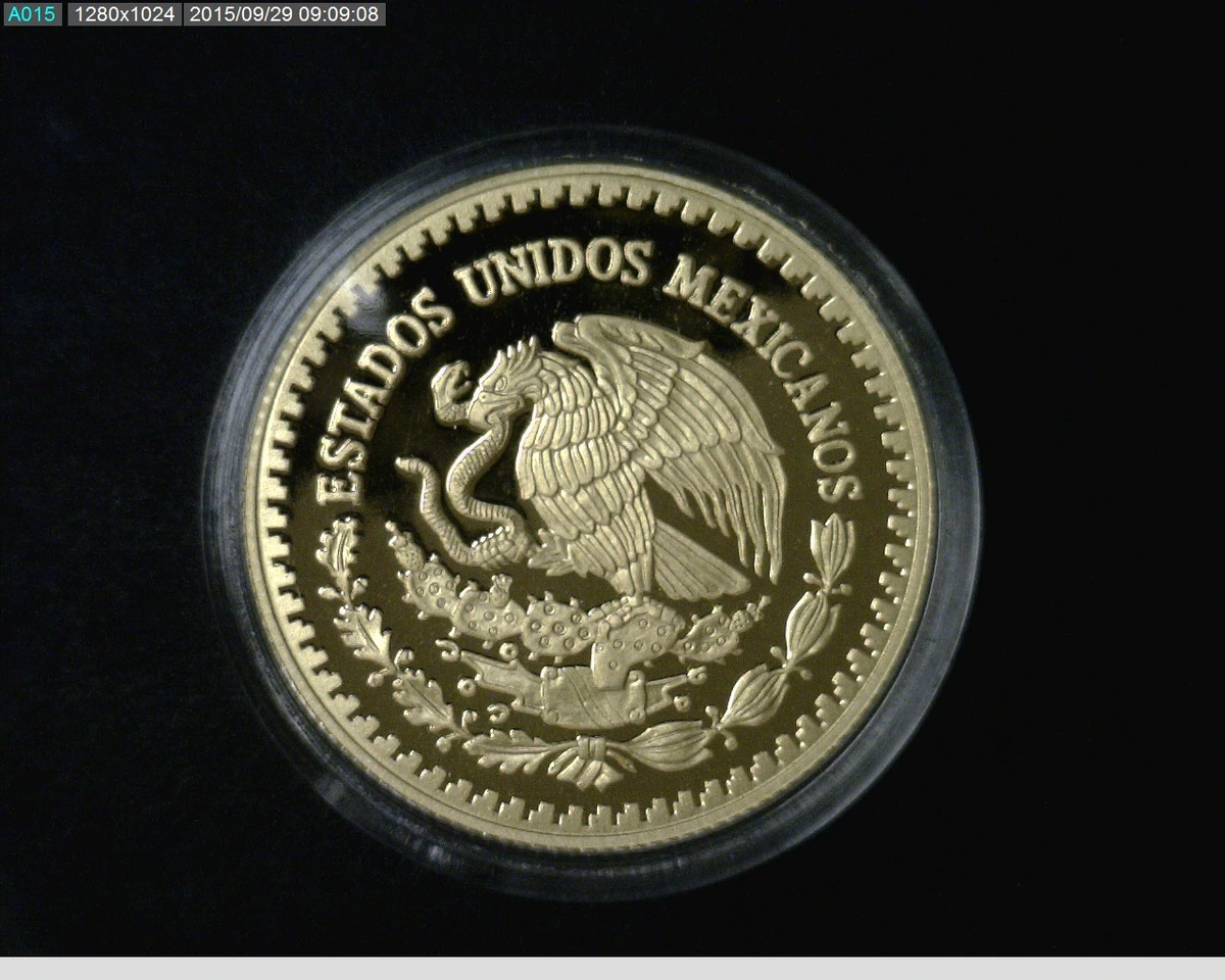 1-2-onza-libertad-oro-2013-proof - anverso (Banxico)