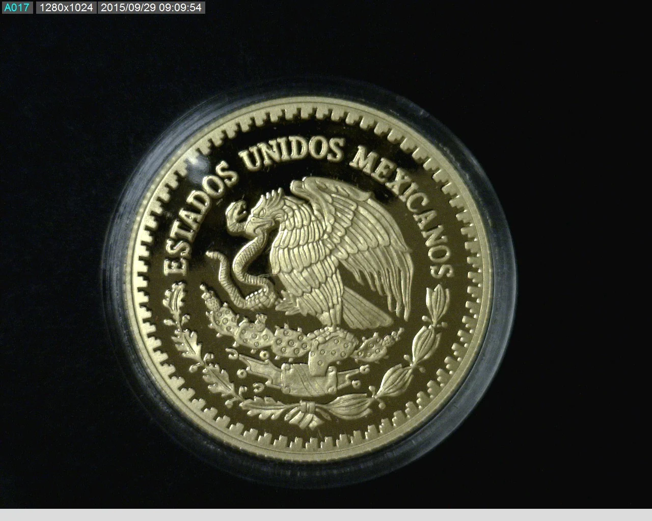 1/2 oz Libertad Oro 2013 · Inventario Banxico 23285 (anverso)