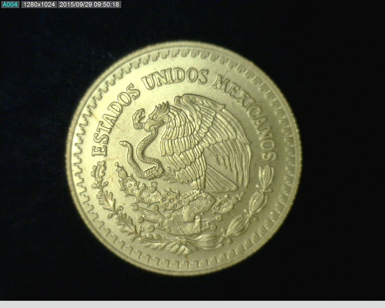 1/2 oz Libertad Oro 2013 · Inventario Banxico 23292 (anverso)