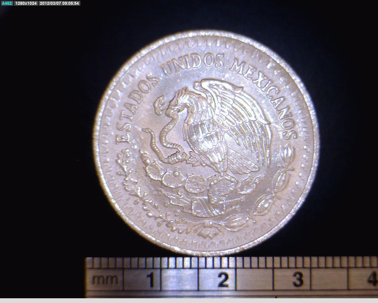 1/2 oz Libertad Plata 1991 · Inventario Banxico 17677 (anverso)