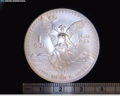 1/2 oz Libertad Plata 1995 · Inventario Banxico 19170 (reverso)