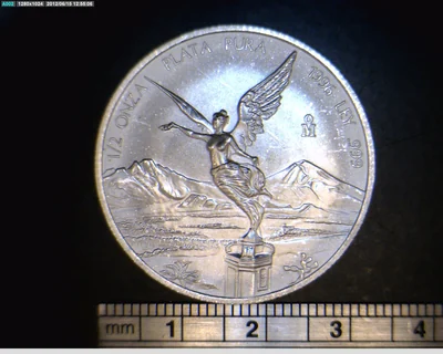 1/2 oz Libertad Plata 1996 · Inventario Banxico 19208 (reverso)