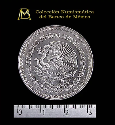1/2 oz Libertad Plata 1998 · Inventario Banxico 20772 (anverso)