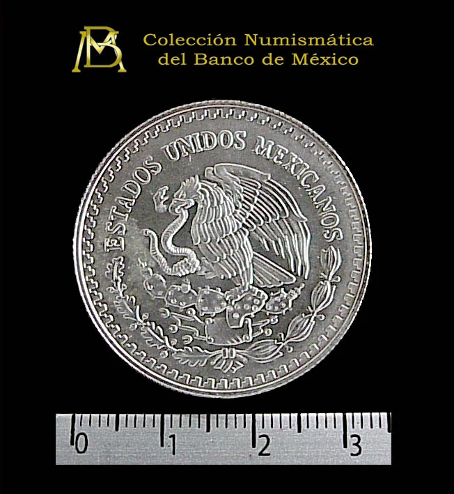 1/2 Onza Libertad Plata 1999 · Anverso