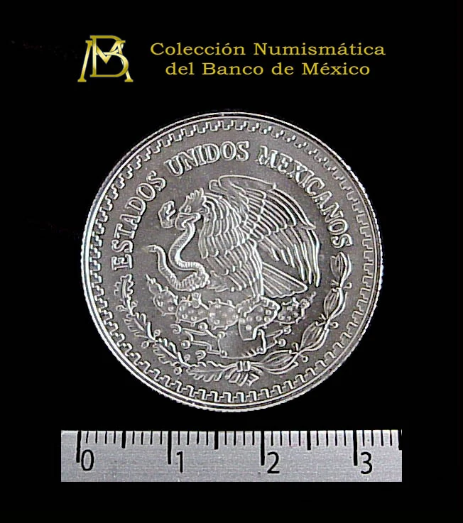 1/2 Onza Libertad Plata 2000 · Anverso