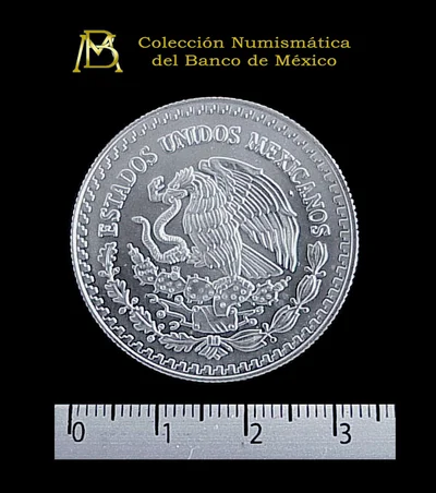 1/2 oz Libertad Plata 2001 · Inventario Banxico 20930 (anverso)